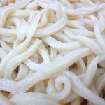 正太郎うどん - 麺アップ