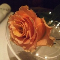 ラール・エ・ラ・マニエール - 