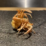 天ぷらあら木 - 