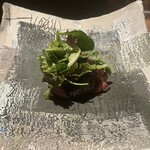 和琉料理 さりぃ - 