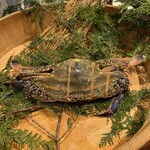 新中国料理HARAKAWA - 