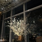 KEI Collection PARIS - 