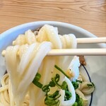 おうどん 瀬戸晴れ - 刮目せよ！麺が違う☆