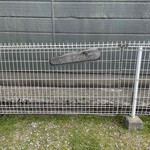 秋葉製パン - 駐車場