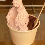 TENKARA GELATO - 古都華ミルク＆インドNo.3