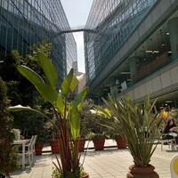 アン カフェ - 
