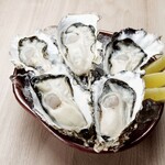 かきのおきて - 