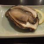 芽華根屋 - イワガキ。