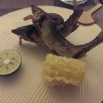 日本料理 晴山 - 郡上鮎