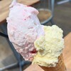 GELATO&CAFFEいざわ苺園