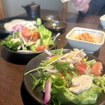 日本酒と海鮮と焼き鳥 個室居酒屋 縁や - 蒸し鶏の塩麹サラダ（ハーフ）