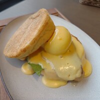 New American Dining GOTTA - 