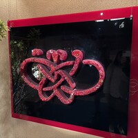花蝶 銀座本店 - 