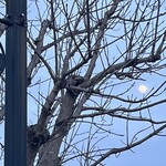 焼きもの家 慶 - 