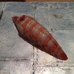 凛 - Ｈ26.8 車海老