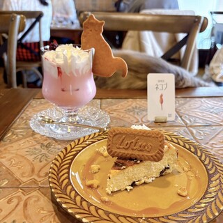 猫喫茶 ネコブ_0