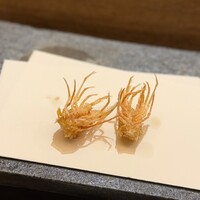 天 よこた - 