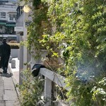 ショウゾウ コーヒー ストア 北青山店 - グリーンが素敵。この内側がイートインスペース。