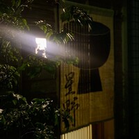 新ばし 星野 - 