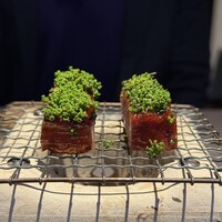 茶禅華 - 