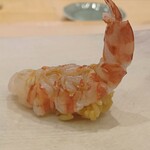 THE SUSHI NAGOYA 海 KAI - 