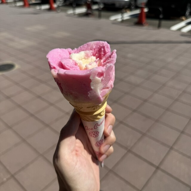 児玉冷菓 - 船越（その他）の写真