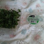 片桐農園マーケット - ブロッコリースプラウト