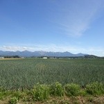 バローレ - お店の前から・夏