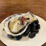 TRE CULI - スチームした広島牡蠣の冷製