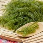 北海道海鮮にほんいち - 