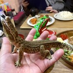 キッチン あずま - 手乗りワニ♡