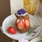 カンノン コーヒー - 