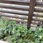 エラリー珈琲店 - 