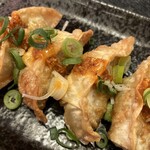 酒々菜々 遊た～ん - ピリ辛揚げ餃子