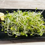 和風魚介出汁創作麺処 後関 - ブロッコリースプラウト3倍ψ(｀∇´)ψ