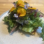 アグリスケープ - 