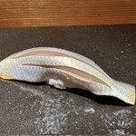 鮨処 春日 - コハダ