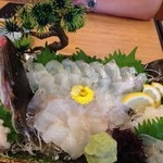 魚太郎 市場食堂 - 地魚ではないですが、CP高めのヒラメの刺身！！