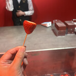 スターバックス コーヒー - 