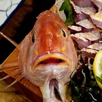 Uogashi Sakaba Ekimae Hamaken