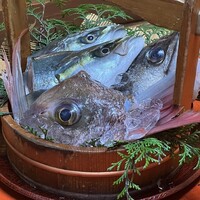 魚めし 竹亭 - 今日の魚、ツバス、鯛、すずき、焼きか煮魚か選べます
