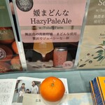 gogoshima beer farm - 