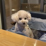 鮨ト酒 ナカニワ - 