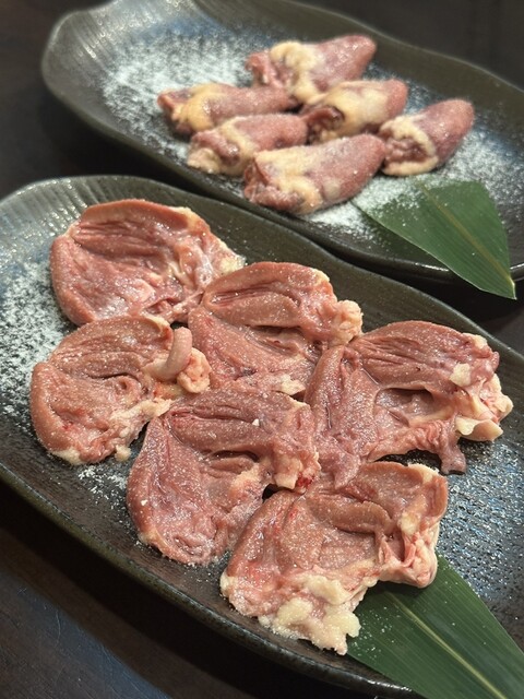 Tori Biyori Imaike Ten photo 2