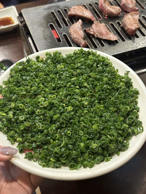 Tori Biyori Imaike Ten