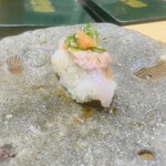 こい勢 - うまづらハギ