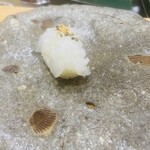 こい勢 - ヤリイカ