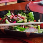 朱の門 - 15種サラダ