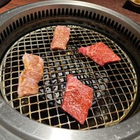 赤羽 友星 - 