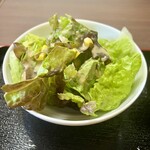 炭焼きびすとろ 肉たらし - サラダ